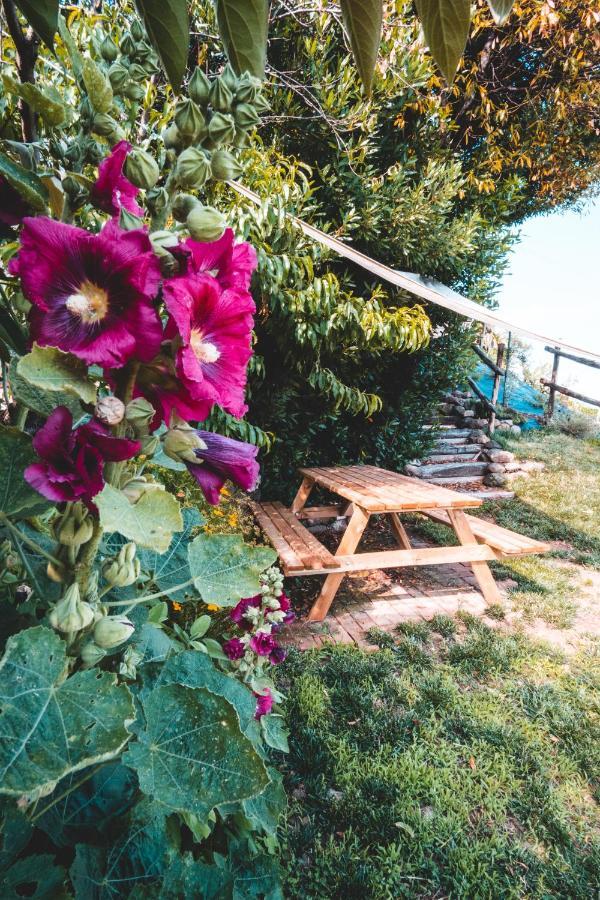 Agriturismo Dai Gobbi Fara Vicentino Zewnętrze zdjęcie